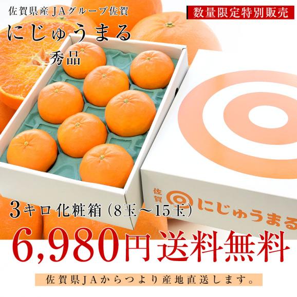 佐賀県より産地直送　 JAグループ佐賀 にじゅうまる 3キロ化粧箱 （8玉から15玉) 送料無料 柑橘 二重丸 中晩柑 みかんfrom九州03