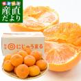 佐賀県より産地直送 JAグループ佐賀 にじゅうまる 4LからLサイズ 約5キロ（13玉から25玉前後) 送料無料 柑橘 二重丸 中晩柑 みかん from九州