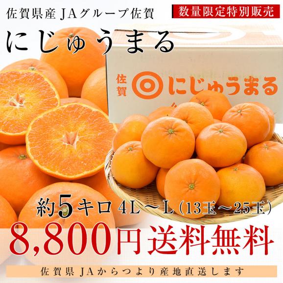 佐賀県より産地直送 JAグループ佐賀 にじゅうまる 4LからLサイズ 約5キロ（13玉から25玉前後) 送料無料 柑橘 二重丸 中晩柑 みかん from九州03