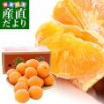 佐賀県より産地直送 JAグループ佐賀 ひとつまる 6LからL 5キロ（10玉から25玉) 送料無料 柑橘 にじゅうまる ご家庭用 中晩柑 みかん 