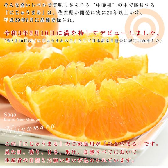 佐賀県より産地直送 JAグループ佐賀 ひとつまる 6LからL 5キロ（10玉から25玉) 送料無料 柑橘 にじゅうまる ご家庭用 中晩柑 みかん 06