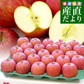 青森県より産地直送 高木りんご商店 サンふじ　CA貯蔵品　秀A 5キロ（16玉から20玉） 送料無料 林檎 さんふじ さんフジ りんご リンゴ ※クール便