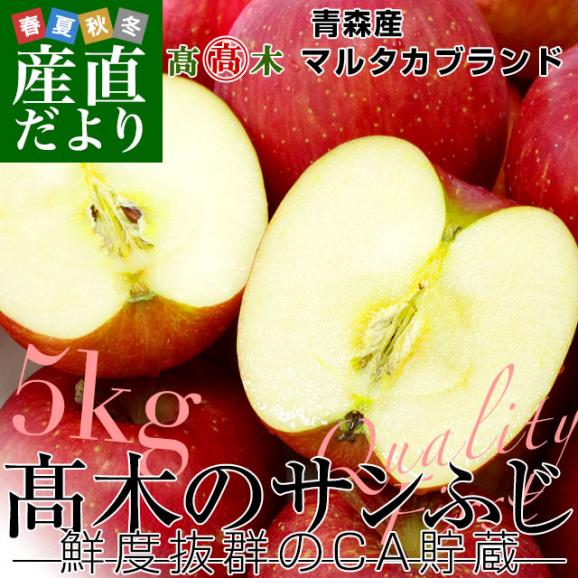 青森県より産地直送 高木りんご商店 サンふじ　CA貯蔵品　秀A 5キロ（16玉から20玉） 送料無料 林檎 さんふじ さんフジ りんご リンゴ ※クール便02