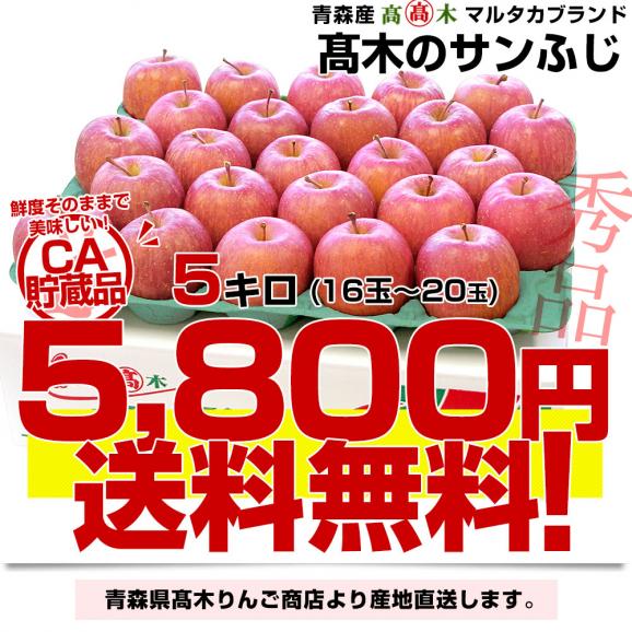青森県より産地直送 高木りんご商店 サンふじ　CA貯蔵品　秀A 5キロ（16玉から20玉） 送料無料 林檎 さんふじ さんフジ りんご リンゴ ※クール便03