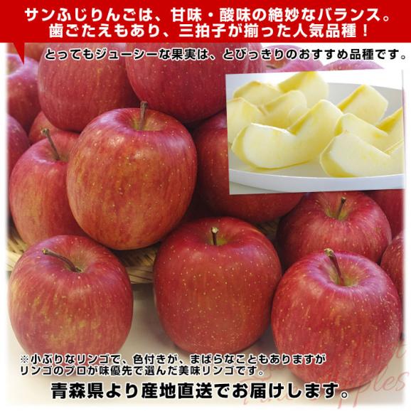青森県より産地直送 高木りんご商店 サンふじ　CA貯蔵品　秀A 5キロ（16玉から20玉） 送料無料 林檎 さんふじ さんフジ りんご リンゴ ※クール便04