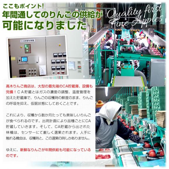 青森県より産地直送 高木りんご商店 サンふじ　CA貯蔵品　秀A 5キロ（16玉から20玉） 送料無料 林檎 さんふじ さんフジ りんご リンゴ ※クール便06