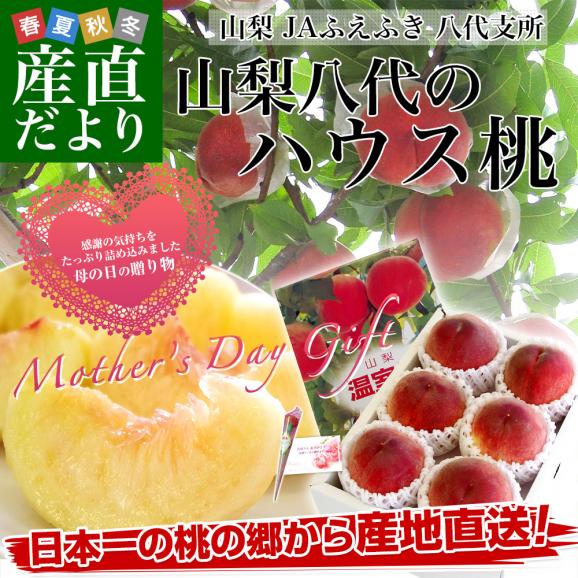 【母の日ギフト】 山梨県より産地直送 JAふえふき八代支所 八代のハウス桃 約1キロ (5玉から6玉) 送料無料 日川白鳳  加納岩白鳳 もも 笛吹  母の日桃02