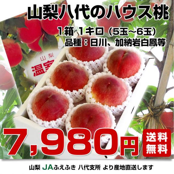 山梨県より産地直送 JAふえふき八代支所 八代のハウス桃 約1キロ （5玉から6玉） 送料無料 もも やつしろ 笛吹03