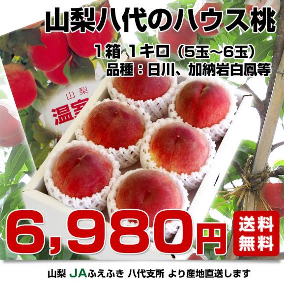 山梨県より産地直送 JAふえふき八代支所 八代のハウス桃 約1キロ （5玉から6玉） 送料無料 もも やつしろ 笛吹03