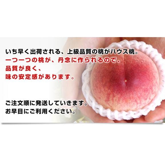 山梨県より産地直送 JAふえふき八代支所 八代のハウス桃 約1キロ （5玉から6玉） 送料無料 もも やつしろ 笛吹05