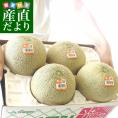 茨城県産 JA茨城旭村 クインシーメロン 4Lから3Lサイズ 5キロ箱 (3玉から4玉) 送料無料 市場スポット