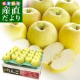 青森県より産地直送 高木商店 マルタカブランド 高木の王林 CA貯蔵品  大玉5キロ (16玉から18玉) 送料無料 林檎 リンゴ ※クール便