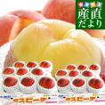福島県より産地直送 JAふくしま未来 秀品桃 ミスピーチ 約2キロ×2箱セット (5玉から9玉×2箱) 送料無料 もも 桃　ギフト 夏ギフト お中元 御中元
