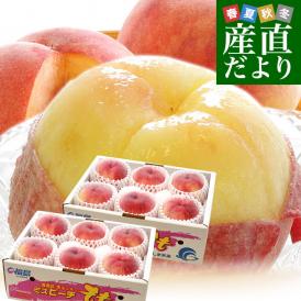 JAふくしま未来 秀品桃 ミスピーチ 約2キロ×2箱セット (5玉から9玉×2箱) 送料無料 もも 桃