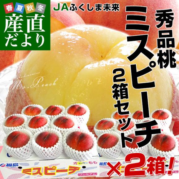 福島県より産地直送 JAふくしま未来 秀品桃 ミスピーチ 約2キロ×2箱セット (5玉から9玉×2箱) 送料無料 もも 桃　ギフト 夏ギフト お中元 御中元02