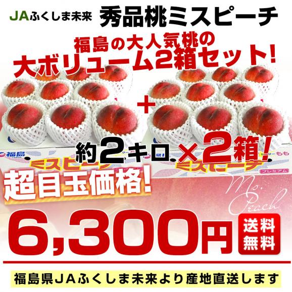 福島県より産地直送 JAふくしま未来 秀品桃 ミスピーチ 約2キロ×2箱セット (5玉から9玉×2箱) 送料無料 もも 桃　ギフト 夏ギフト お中元 御中元03