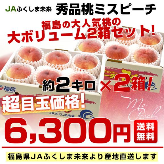 福島県より産地直送 JAふくしま未来 秀品桃 ミスピーチ 約2キロ×2箱セット (5玉から9玉×2箱) 送料無料 もも 桃　ギフト 夏ギフト お中元 御中元03