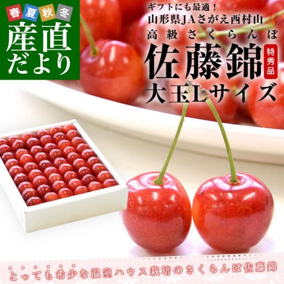 山形県 JAさがえ西村山 温室栽培「さくらんぼ佐藤錦」 ギフト用大玉Lサイズ 300g 化粧箱 送料無料 ※クール便発送02