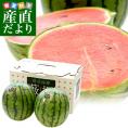 群馬県藪塚産 小玉スイカ 4キロ前後 （2キロ×2玉）送料無料 市場発送 西瓜 すいか