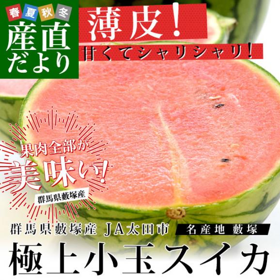 群馬県藪塚産 小玉スイカ 4キロ前後 （2キロ×2玉）送料無料 市場発送 西瓜 すいか02