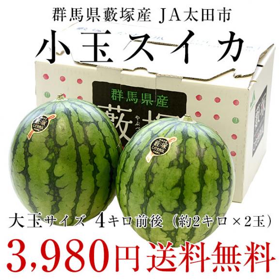 群馬県藪塚産 小玉スイカ 4キロ前後 （2キロ×2玉）送料無料 市場発送 西瓜 すいか03