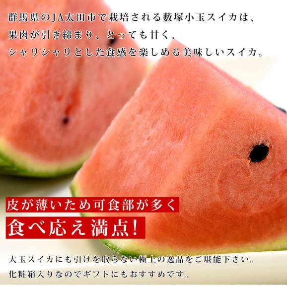 群馬県藪塚産 小玉スイカ 4キロ前後 （2キロ×2玉）送料無料 市場発送 西瓜 すいか04