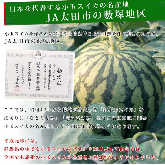 群馬県藪塚産 小玉スイカ 4キロ前後 （2キロ×2玉）送料無料 市場発送 西瓜 すいか05