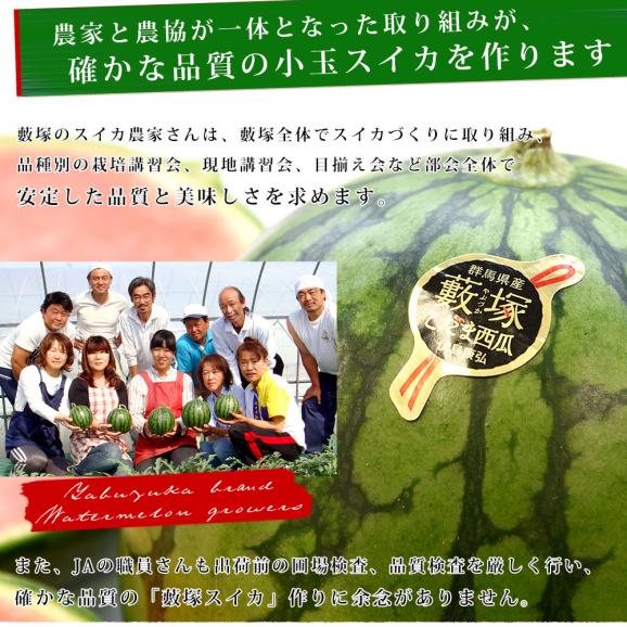 群馬県藪塚産 小玉スイカ 4キロ前後 （2キロ×2玉）送料無料 市場発送 西瓜 すいか06