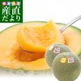 父の日ギフト 茨城県産 JA茨城旭村 クインシーメロン 特秀品 大玉3L×2玉セット（合計約2.5キロ） 父の日プレゼント 送料無料 市場発送