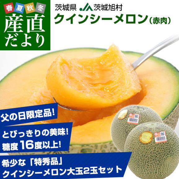 父の日ギフト 茨城県産 JA茨城旭村 クインシーメロン 特秀品 大玉3L×2玉セット（合計約2.5キロ） 父の日プレゼント 送料無料 市場発送02