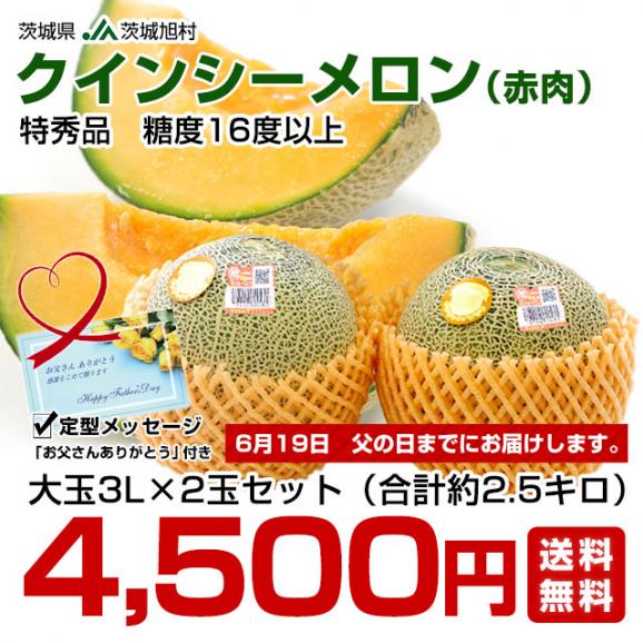 父の日ギフト 茨城県産 JA茨城旭村 クインシーメロン 特秀品 大玉3L×2玉セット（合計約2.5キロ） 父の日プレゼント 送料無料 市場発送03