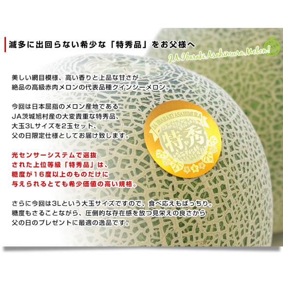 父の日ギフト 茨城県産 JA茨城旭村 クインシーメロン 特秀品 大玉3L×2玉セット（合計約2.5キロ） 父の日プレゼント 送料無料 市場発送04