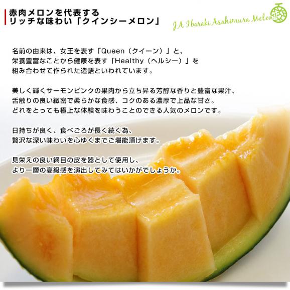 父の日ギフト 茨城県産 JA茨城旭村 クインシーメロン 特秀品 大玉3L×2玉セット（合計約2.5キロ） 父の日プレゼント 送料無料 市場発送05