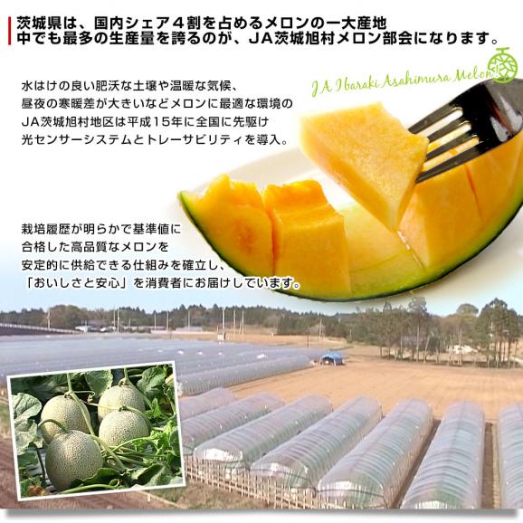 父の日ギフト 茨城県産 JA茨城旭村 クインシーメロン 特秀品 大玉3L×2玉セット（合計約2.5キロ） 父の日プレゼント 送料無料 市場発送06