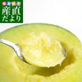 市場発送　JA茨城旭村　アンデスメロン（青肉）特秀品　大玉3L×2玉セット（合計約2.5キロ）　送料無料　めろん　いばらき　あさひ村