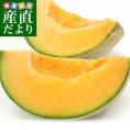 JA茨城旭村　クインシーメロン（赤肉）特秀品　大玉3L×2玉セット（合計約2.5キロ）　送料無料　めろん　いばらき　あさひ村　市場発送