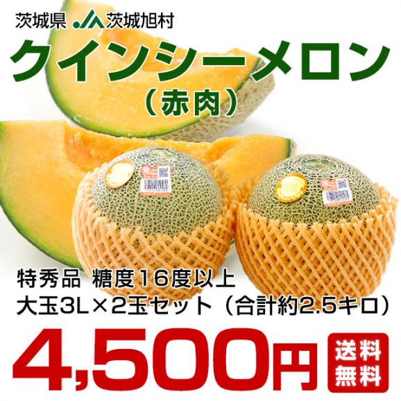 JA茨城旭村　クインシーメロン（赤肉）特秀品　大玉3L×2玉セット（合計約2.5キロ）　送料無料　めろん　いばらき　あさひ村　市場発送03