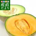 市場発送　JA茨城旭村　アンデス＆クインシーメロン特秀品　大玉3L×2玉セット（合計約2.5キロ）　送料無料　めろん　いばらき　あさひ村
