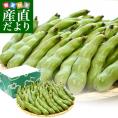 厳選産地の極上そら豆 Lサイズ秀品 2キロ箱 満載詰め そらまめ ソラマメ 千葉 茨城 新潟 宮城 秋田 送料無料  クール便 市場発送