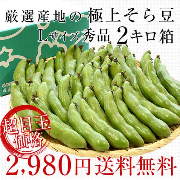 厳選産地の極上そら豆 Lサイズ秀品 2キロ箱 満載詰め そらまめ ソラマメ 千葉 茨城 新潟 宮城 秋田 送料無料  クール便 市場発送03