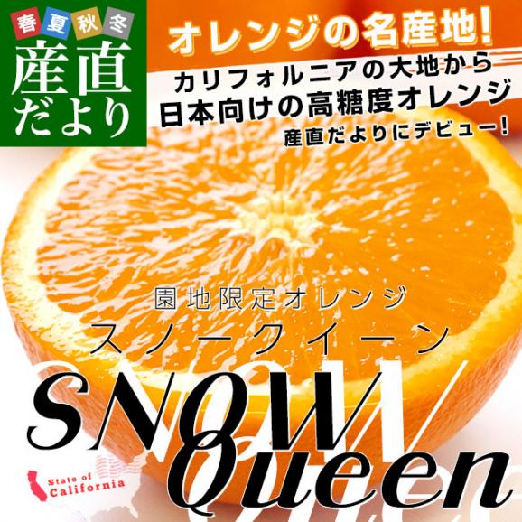 カリフォルニア産　オレンジ「SNOW QUEEN（スノークイーン）」約2キロ（中玉サイズ9玉）送料無料　ネーブルオレンジ バレンシアアレンジ　市場発送02