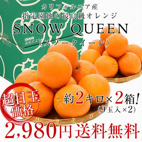 カリフォルニア産　オレンジ「SNOW QUEEN（スノークイーン）」2箱セット　約2キロ×2箱（9玉×２）送料無料　ネーブルオレンジ バレンシアアレンジ　市場発送03