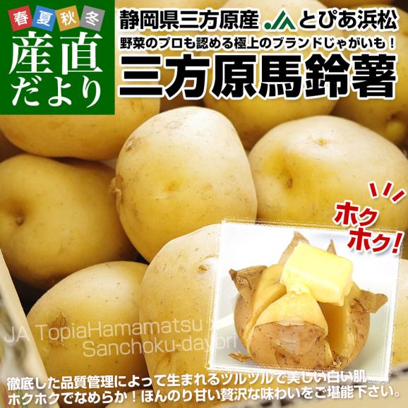 静岡県産 JAとぴあ浜松 三方原馬鈴薯（男爵）Mサイズ 約2.5キロ(20玉前後)送料無料 ばれいしょ じゃがいも ジャガイモ02