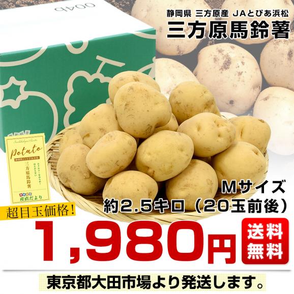 静岡県産 JAとぴあ浜松 三方原馬鈴薯（男爵）Mサイズ 約2.5キロ(20玉前後)送料無料 ばれいしょ じゃがいも ジャガイモ03