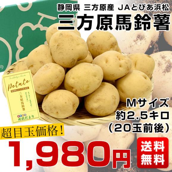 静岡県産 JAとぴあ浜松 三方原馬鈴薯（男爵）Mサイズ 約2.5キロ(20玉前後)送料無料 ばれいしょ じゃがいも ジャガイモ03
