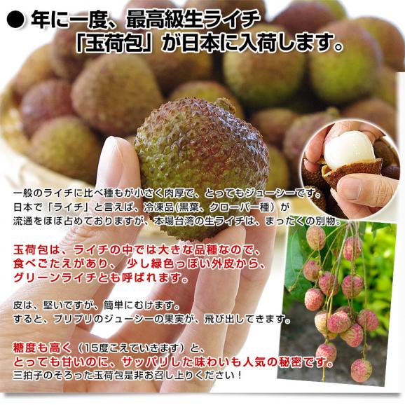 台湾から直輸入 高級 生ライチ 《玉荷包(ぎょっかほう)》 約800g(25玉から35玉前後) 送料無料 トロピカルフルーツ ※クール便05