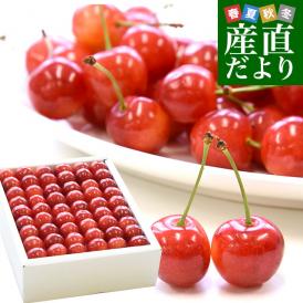 山形県から産地直送　JAさがえ西村山「さくらんぼ佐藤錦」 ギフト用大玉Lサイズ　500g　化粧箱　サクランボ　桜桃　佐藤錦　ギフト　お中元