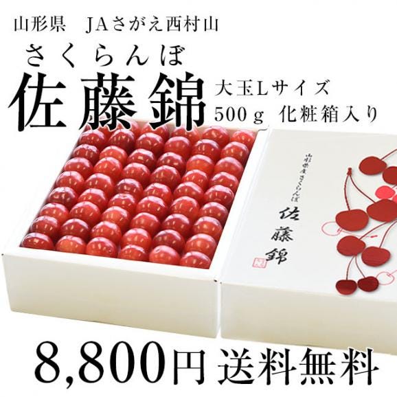 山形県から産地直送　JAさがえ西村山「さくらんぼ佐藤錦」 ギフト用大玉Lサイズ　500g　化粧箱　サクランボ　桜桃　佐藤錦　ギフト　お中元03
