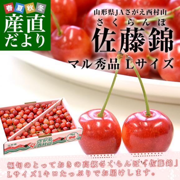 山形から産地直送　山形県JAさがえ西村山「さくらんぼ佐藤錦」 マル秀品 Lサイズ1キロ　サクランボ　桜桃　佐藤錦　ギフト　お中元02