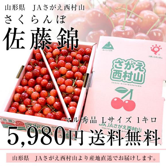 山形から産地直送　山形県JAさがえ西村山「さくらんぼ佐藤錦」 マル秀品 Lサイズ1キロ　サクランボ　桜桃　佐藤錦　ギフト　お中元03